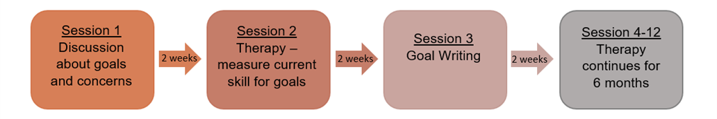 See bullet points above image for full description of fortnightly sessions