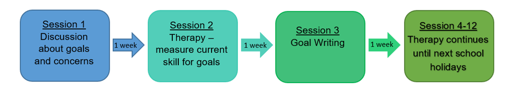 See bullet points above image for full description of weekly sessions