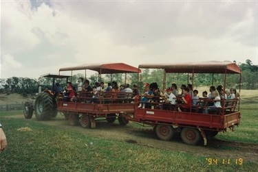 Young children riding on a tractor at Calmsley Hill Farm excursion
